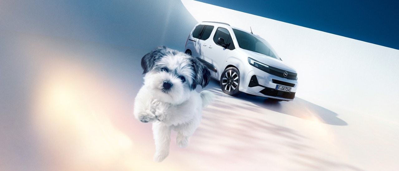 Vista lateral dianteira de um Opel Combo Electric branco e de um cão