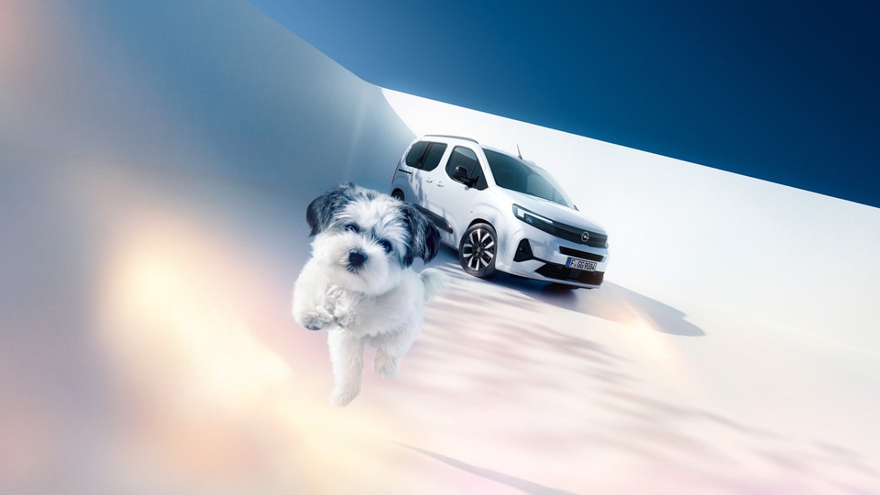 Vista de frente de um Opel Combo branco e um cão