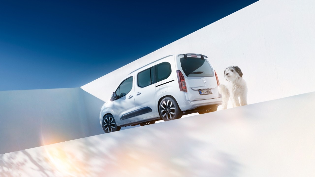 Vista lateral traseira de um Opel Combo branco e um cão